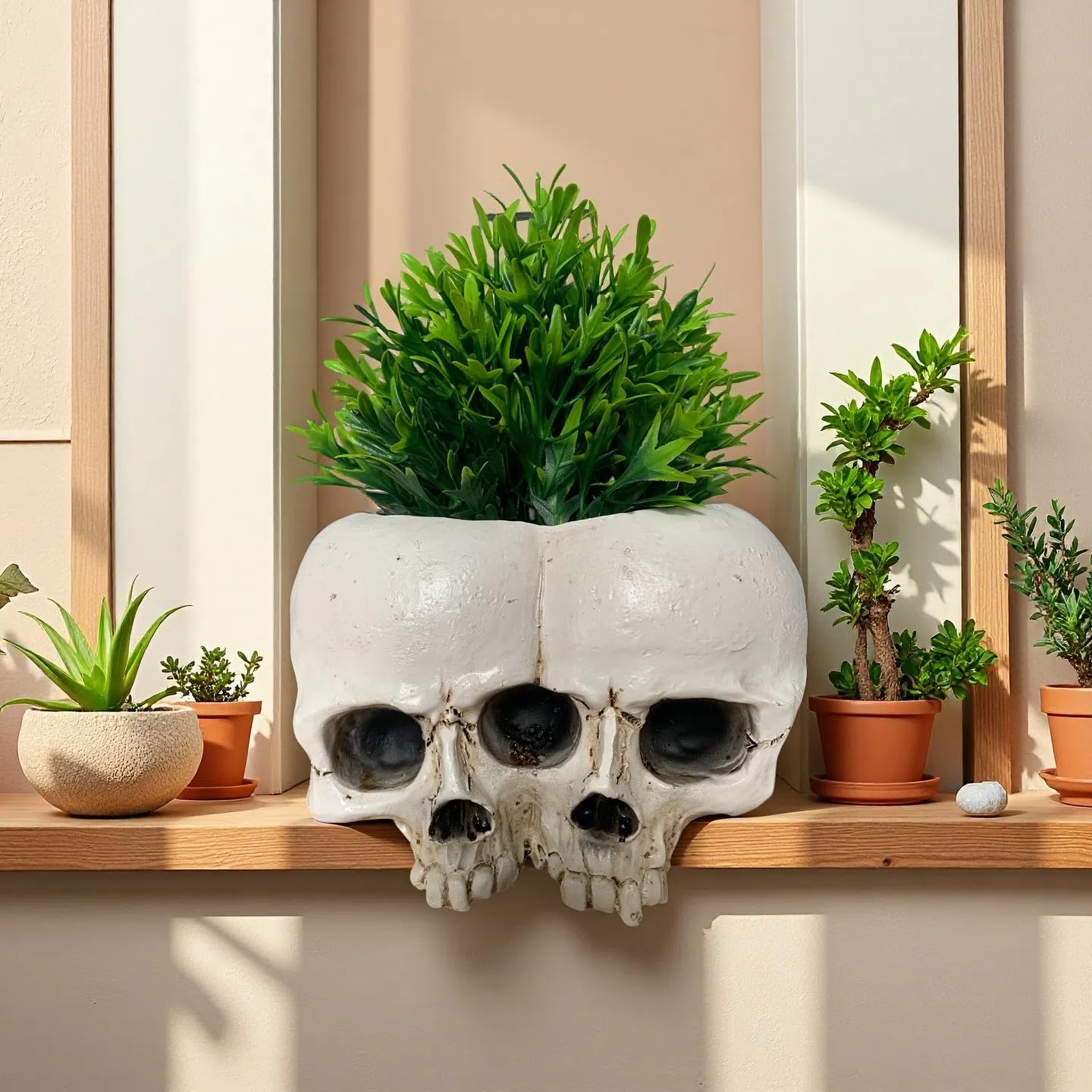Amazon.com : Double Skull Resin Planter - Gothic Style Flower Pot